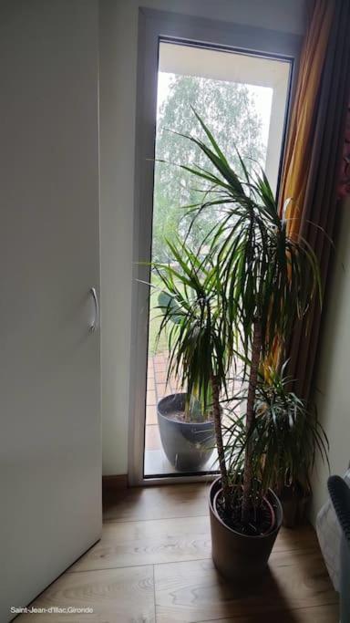 Avec Jardin A Jean D'illac Appartement *